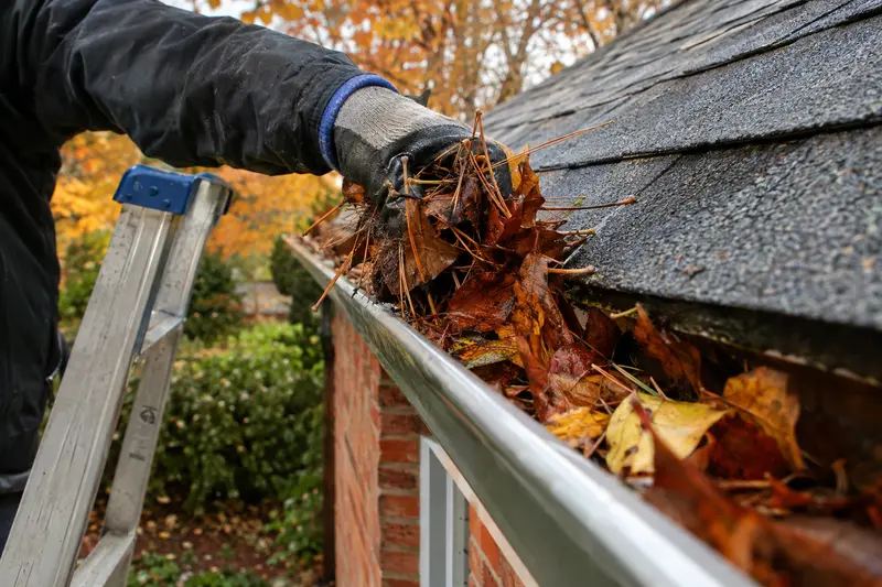 Gloved hand clearing leaves from a gutter